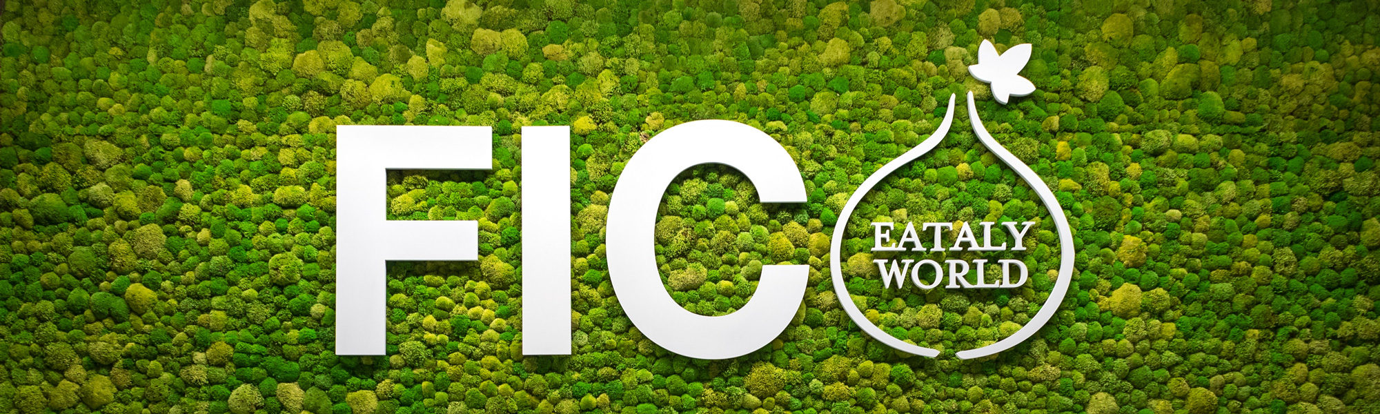 Lees het inspirerende blog van The Food Research Company over ons bezoek aan Fico.